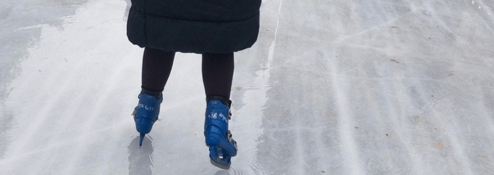 Ice Skating: The Natural History Museum