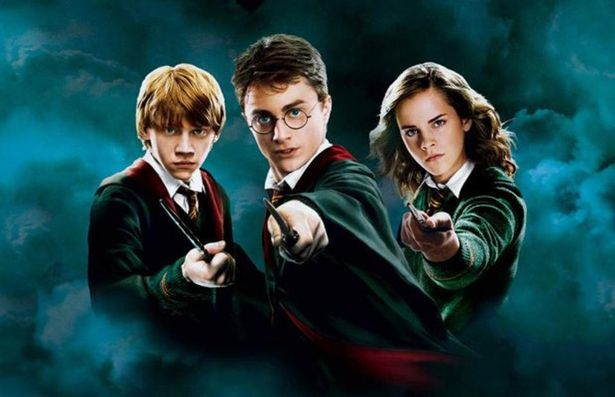 Harry Potter Reunion? Heres What You Need To know! sammi swinton