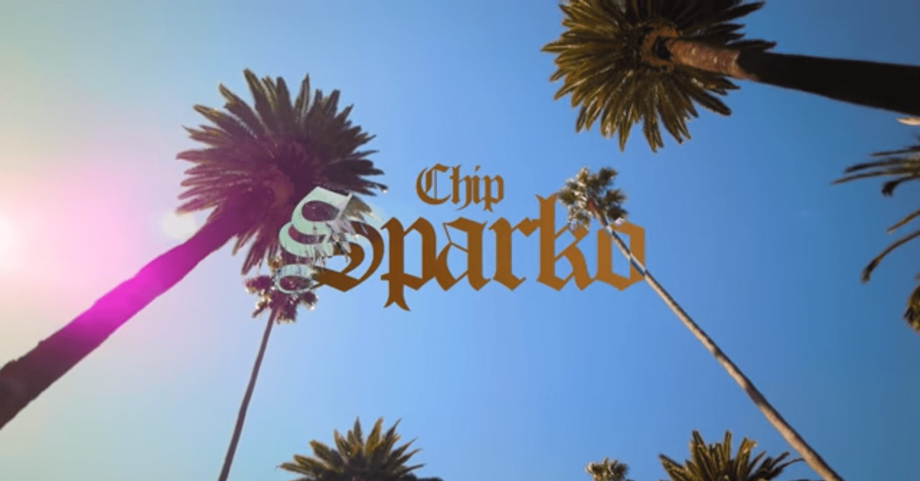 Chip Drops Birthday Joint 'Sparko'